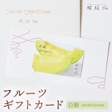 【蝶結び】-白銀(SHIROGANE)- フルーツギフトカード 旬のフルーツ詰め合わせ カタログギフト 選べるギフト 贈答 贈り物 出産祝い 結婚祝い 内祝い 御祝い お祝い お礼 引き出物 熨斗対応 