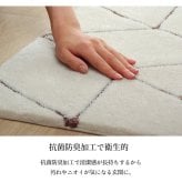 ラグ カーペット 玄関マット へたりにくい 弾力性 約55×85cm シンプル 幾何柄 抗菌防臭
