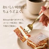市田柿 ミルフィーユ スタンダード 干し柿 スイーツ バター チーズ 2本 6本 ギフト 送料無料 のし対応 市田柿フロマージュ バターサンド チーズサンド 和菓子 個包装 誕生日 内祝い 敬老の日 プレゼント お取り寄せスイーツ 柿のミルフィーユ 柿重ね