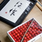 【予約：6月上〜下旬随時発送】【数量限定！特選ギフト】果樹の里 新潟せいろう産 佐藤錦 化粧箱入 約1kg ギフト プレゼント お中元 お歳暮 出産祝い 内祝い お誕生日 御祝 御礼 母の日 父の日 敬老の日 記念日 手土産 季節の贈り物 さくらんぼ【送料無料】