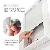 BF DECO Wall Mirror BFMI0251 壁掛け 収納付き ミラー ウオールミラー 鏡 姿見
