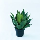 観葉植物 造花 アガベ アテナータ BROWN 全高約50cm 卓上・小型 フェイクグリーン 本物そっくり おしゃれ インテリア 人工観葉植物 アーティフィシャルグリーン オフィス 店舗 ホテル 開店祝い 室内 ミニ 多肉植物 フェイク