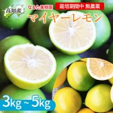 マイヤーレモン グリーンレモン 3kg 栽培期間中 無農薬 高知産 レモン 檸檬 国産 皮ごと食べられる 国産レモン 産地直送 高知県宿毛市 産直 グルメ 出荷時期によりグリーンからイエローに変化します【送料無料】