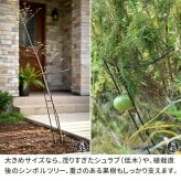 アイアン製植物サポーター 幅45 8本セット IF-N0047-8P奥行23 高さ85 ハーフリング 倒れ防止 広がり抑制 スチール 鉄製 支柱 園芸 植物サポート フラワーサポート 菜園 花壇