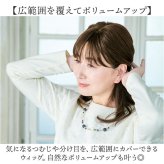 プリシラ 部分 ウィッグ prisila ST-102 通販 かつら 女性 レディース 部分ウィッグ ポイントウイッグ ヘアピース ポイントウィッグ ウイッグ 頭頂部 つむじ 白髪隠し 白髪かくし カツラ 人毛100% 人 毛 100 ロング 増毛部分かつら
