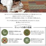 夏ラグ 夏用カーペット い草ラグ 花ござ カーペット ラグ 4.5畳 ギャッベ(ギャベ)柄 抗菌防臭 消臭 江戸間4.5畳 (約261×261cm）