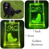 ３D彫刻 うちの子光るクリスタルキーホルダー　　犬 猫 ペット 立体 名入れ メモリアル オーダー ガラス ギフト プレゼント キレイ シンプル 透明 クリア 女性 男性