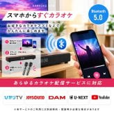 アンプ内蔵カラオケスピーカー サウンドプロN TKSM-37 家庭用 to-plan TO-PLAN  ワイヤレスマイク2本付き デュエット アンプ内蔵 Bluetooth 5.0 ホームシアター対応 カラオケアプリ使用 ひとカラ 練習 おうちカラオケ