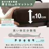 電動ベッド 介護 折り畳み マットレス付 リクライニングベッド 介護ベッド 折りたたみ 電動リクライニングベッド アイリスオーヤマ OTB-FD-R *