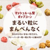 前田家 選べる 4種 フレーバーポップコーン キャラメル / 抹茶ミルク / ラズベリー / 3種ミックス 120g/280g/400g マッシュルーム型 お菓子 スイーツ おやつ 映画 送料無料 MAEDAYA