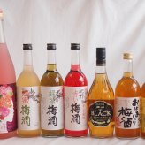 豪華梅酒7本セット(おばあちゃんの梅酒 ローズ梅酒(愛知) 芋焼酎仕込五代梅酒(鹿児島) 赤しそ赤い梅酒(和歌山) 芳醇ブランデー仕立チョーヤ梅酒 蜂蜜梅酒(和歌山) 緑茶梅酒(和歌山)) 720ml×6本 1800ml×1本