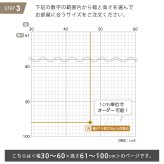 カーテン 窓まわり 1cm単位のオーダー対応！ 調光ロールスクリーン 幅30～60cm×高さ61～100cm ロールスクリーン 調光 遮光 採光 ロール 突っ張り式賃貸 サイズオーダー レール 取り付け 無地 レース おしゃれ 新生活