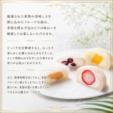 敬老の日 プレゼント 銀座フルーツ大福 銀座千疋屋 8個入 国産いちご 白桃 ブルーベリー パイナップル フルーツ大福 和菓子 スイーツ 冷凍 ギフト 贈り物 プレゼント お中元 お歳暮 内祝い 誕生日 お祝い 送料無料 化粧箱入り お熨斗対応 フルーツギフト贈答品