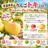 青森県産　りんご　ご家庭用　トキ　９ｋｇ　　送料無料！