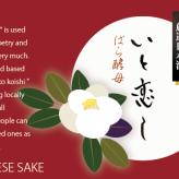 お正月・銀婚式 祝酒おすすめ No.002-12 天寶一 厳選日本酒「いと恋し」2本入桐箱ギフトボックス【満開椿・白椿】日本酒の豆辞典付き