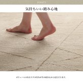 ラグ カーペット モルドバ製 ウィルトン織り 柔らかタッチ 約200×250cm 新生活