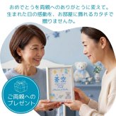 命名書 刺繍 オーダー かわいい おしゃれ 命名札 テディベアブルー 出生データ 名前旗 名前札 命名 初節句 七五三 お食い初め お宮参り お七夜 ひな祭り 出産祝い 百日祝い 初誕生 赤ちゃん お祝い 誕生日 くま クマ テディベア バースボード 名入れ 男の子