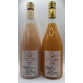 愛媛 エヒメエンゲージファーム せとかジュース 12本 フルーツジュース 果汁飲料 ストレート ジュース 国産