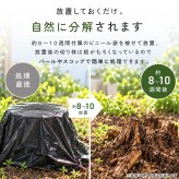 切り株処理剤 スタンプロット 400g 単品 2個セット 切り株の処理 切り株除去 繊維分解 ガーデニング 庭 手入れ 庭木 樹木 根株 木の根 除去 顆粒タイプ 水に溶ける 庭のお手入れ 枯れ木処理 園芸用品 伐採後 処理 切株処理 抜根補助 日本製