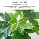 お手入れ簡単 フェイクグリーン パキラ Sサイズ(120cm)
