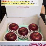 糖度13度保証 長野県産りんご 秋映 プレミアム ご贈答 果物 フルーツ お取り寄せ 産地直送 【送料無料(一部地域除く)】