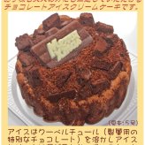 クリスマスチョコレートアイスケーキ【4～7号】 [クリスマスケーキ アイスクリームケーキ クリスマスチョコ チョコケーキ]