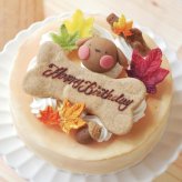 犬用ケーキ 誕生日 ちぃさい秋みぃ～つけた紅葉いちごショートケーキ レギュラーサイズ 無添加 食いつき 人気 おすすめ 手づくりごはん 小型犬 犬 小さいサイズ バースデー ケーキ フードケーキ ごはん プレゼント ギフト 贈り物 お誕生日 お迎え記念日 快気祝い ご贈答用 結婚祝い パーティー お茶会 犬友 猫友 お祝い お誕生日 ワンちゃん ペットフード ドッグフード