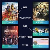 Xiaomi Mi box 4c メディアストリーミング端末 小米盒子4c 4K HDR対応  スマートテレビ MDZ-20-AA ブラック シャオミ 当店限定USBメモリ付【中級者向け・設定サポートなし】