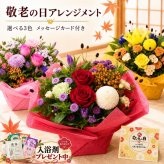 敬老の日 花 アレンジメント 花 選べる色合い 秋のお花 誕生日 秋 送料無料 アレンジメント アレンジ 選べる色合い ラッピング無料 お祝い 誕生日 開業祝い 移転祝い　昇進　就任　還暦　フラワーギフト プレゼント お花のプレゼント