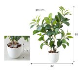 【高さ55cm】光触媒人工観葉植物 ペペロミア 幅30cm×奥行25cm×高さ55cm コンパクト 天然木 お部屋に気軽に飾れて空間を美しく彩るフェイクグリーン 本物の植物のようなリアルな質感とインテリアに馴染む風合いが魅力です