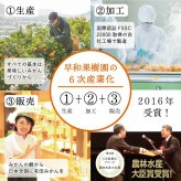 敬老の日 誕生日 5000円 ギフト ジュース ゼリー ジュレ ストレート 和歌山 早和果樹園 有田 和歌山 みかん 飲むみかんとジュレまるごと入ギフト C6-B9 プレゼント 