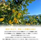 土佐文旦 野囲い 文旦 大玉 2L～4L 10kg 家庭用 土佐市 まる庄果樹園 産直 山間部栽培 ぶんたん 産地直送 高知産 ジューシー まろやか 高知 ブンタン 農家直送 ネコちゃん箱入り 届いてすぐに食べれる追熟文旦【送料無料】