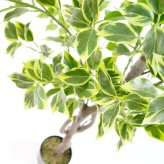 観葉植物 造花 斑入りベンジャミン BROWN 全高約150cm 大型 ゴムの木 フェイクグリーン 本物そっくり おしゃれ インテリア 人工観葉植物 アーティフィシャルグリーン オフィス 店舗 ホテル 開店祝い 室内 ベンジャミン 斑入り フィカス フェイク