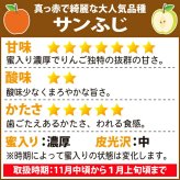 【11月中旬頃発送】一華ベジフル 青森 リンゴ サンふじ 家庭用 3C箱(3kg箱:約7～10個入) りんご 青森県産 蜜入り リンゴ 林檎 りんごジュース ギフト 御歳暮 お歳暮 フルーツ 果物 青森県 お土産 お取り寄せ 販売 通販 2026 訳あり【送料無料】