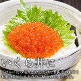 いくら 醤油漬け 500g 鱒子 アメリカ産 【ます子/イクラ/鱒いくら/いくら醤油漬】【お取り寄せ/グルメ/海鮮/ギフト/食べ物/贈答/プレゼント】