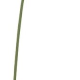 造花シングルガーベラ６色よりお選び下さい