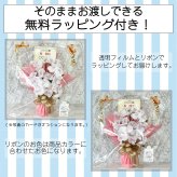 キャンディー フラワー 胡蝶蘭 送料無料 光触媒 造花 ギフト 開店祝い プレゼント 花 誕生日 女性 母 女友達 退職祝い 上司 還暦祝い 結婚記念日 お祝い 母の日 子供 子供会 贈り物
