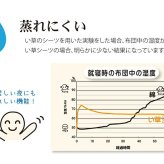 固わた40mm入り い草ごろ寝フリーマット（おやじの場所) 『大和』 約70×150cm