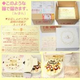 クリスマスフルーツチョコレートケーキ【４～７号】クリスマスケーキ チョコケーキ チョコデコ