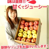 青森りんご 9kg 訳あり 送料無料 福袋 北海道産 青森産 リンゴ ※沖縄は送料別途加算 到着日指定不可