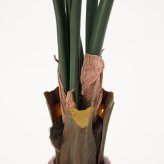 観葉植物 造花 シュロチク BROWN 全高約120cm 大型 フェイクグリーン 本物そっくり おしゃれ インテリア 人工観葉植物 アーティフィシャルグリーン オフィス 店舗 ホテル 開店祝い 室内 棕櫚竹 ヤシ フェイク