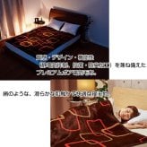 電気毛布 掛け 敷き ダブル 190×140cm 静電気抑制 抗菌 防臭 洗える 日本製 ダニ退治 室温センサー タイマー 頭寒足熱 電気掛敷毛布 電気敷き毛布 電気掛け毛布 掛け敷き兼用 毛布 電気ブランケット 暖房器具 椙山紡織 SB20KW15
