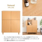 ラック あす楽 キャットトイレクローゼット 猫トイレ収納 隠す おしゃれ 家具 目隠し ペット用品 ねこ カバー 棚 収納棚 トイレ収納 猫砂飛散防止 ブラウン 猫用トイレ ナチュラル ホワイト 新生活