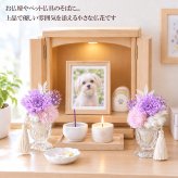  ペット お供え お悔やみ 花 プリザーブドフラワー アレンジメント 一対 小さなお供えプリザ 選べるカラー 6色 贈り物 犬 猫 お供えギフト お花 仏花 仏壇花 ミニアレンジ 送料無料