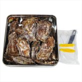 送料無料 お歳暮　JF広島漁連 広島牡蠣のｶﾝｶﾝ焼き H-KY16 ※11/2以降の出荷予定となります。北海道・沖縄・離島は配達不可 全国送料無料 お歳暮ギフト 早割 お歳暮2026 御歳暮 御見舞 お見舞い お取り寄せ グルメスイーツ