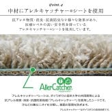 デスクカーペット カーペット 日本製 抗菌 消臭 清潔 防炎 抗アレル物質 ダニ対策 シャギー 無地 約1.2畳 約120×150cm 抗菌消臭で清潔 無地デスクカーペット 抗菌防臭 ポリエステル 学習机用カーペット 学習デスク用マット 子供部屋マット