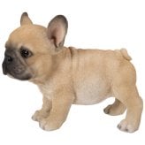置物 woobia ウービア フレブル 立つ子犬のフレンチブルドッグ フォーン 幅17.8cm 子犬 リアル 本物そっくり イギリス生まれ 職人手彩色 縁起物 戌年 玄関 インテリア 新築祝い 引っ越し祝い 開店祝い 出産祝い 誕生日 お祝い ギフト プレゼント 犬好き フレンチブルドッグ好き