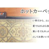 夏ラグ 夏用カーペット ラグ 長方形 夏用 ふっくら い草 サークル 191×250cm 新生活