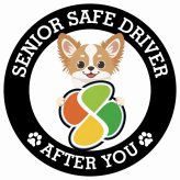 カーサイン 高齢者マーク SENIOR SAFE DRIVER チワズー ステッカー シール 直径13cm 肉球 日本製 車