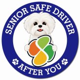 カーサイン 高齢者マーク SENIOR SAFE DRIVER マルシーズー マグネット 強力 直径13cm 肉球 日本製 車 ステッカー